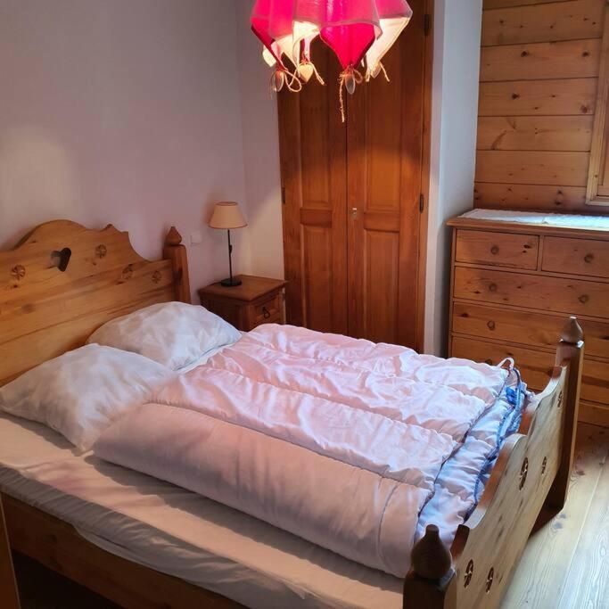Appartement Samoens Centre 5 Pers. Villa Monette المظهر الخارجي الصورة